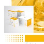 Catalogo Dealfa Touchmed Alginate